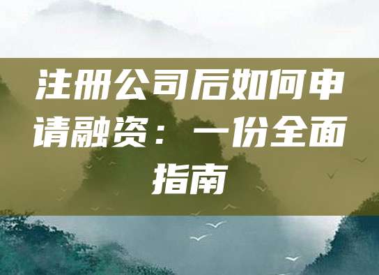 注册公司后如何申请融资：一份全面指南
