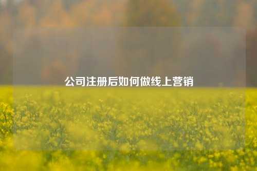 公司注册后如何做线上营销