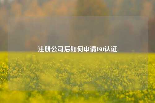 注册公司后如何申请ISO认证