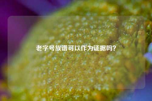 老字号族谱可以作为证据吗?