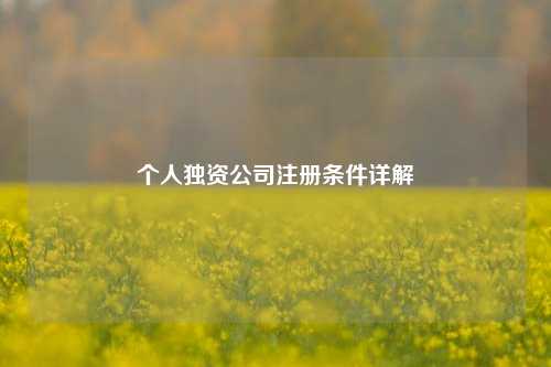 个人独资公司注册条件详解
