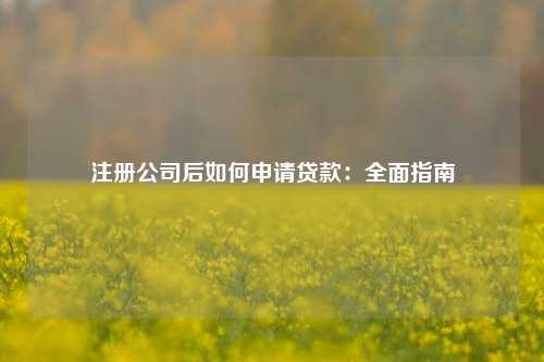 注册公司后如何申请贷款：全面指南