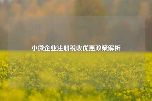 小微企业注册税收优惠政策解析