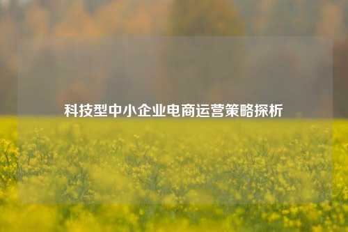 科技型中小企业电商运营策略探析