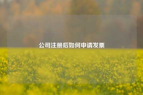 公司注册后如何申请发票
