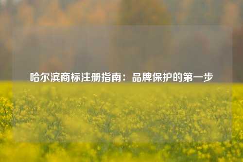 哈尔滨商标注册指南：品牌保护的第一步