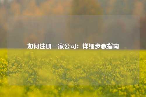 如何注册一家公司：详细步骤指南
