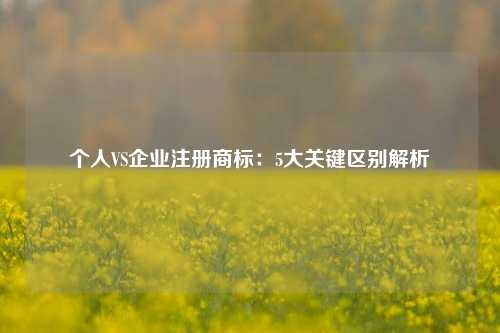个人VS企业注册商标：5大关键区别解析