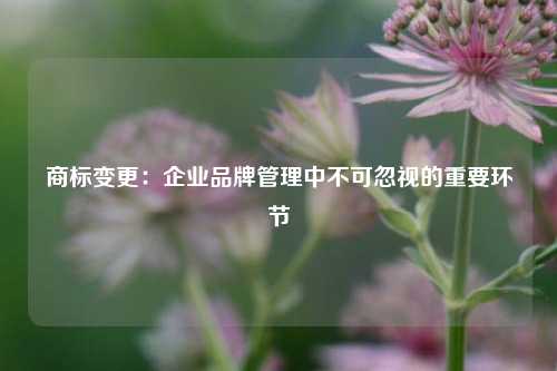 商标变更:企业品牌管理中不可忽视的重要环节