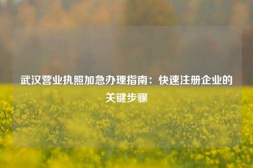 武汉营业执照加急办理指南：快速注册企业的关键步骤