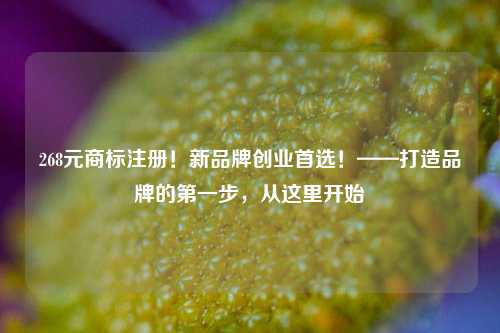 268元商标注册！新品牌创业首选！——打造品牌的第一步，从这里开始