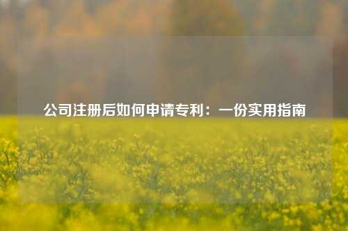公司注册后如何申请专利：一份实用指南