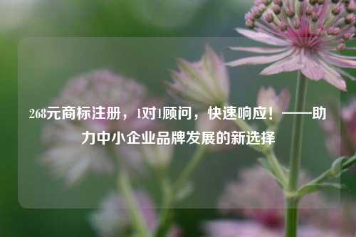 268元商标注册，1对1顾问，快速响应！——助力中小企业品牌发展的新选择