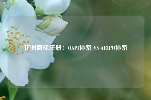 非洲商标注册：OAPI体系 VS ARIPO体系