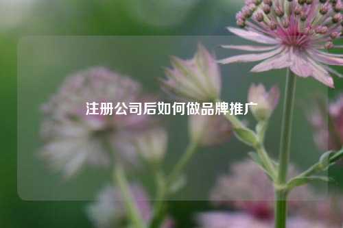 注册公司后如何做品牌推广