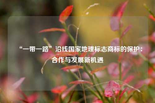 “一带一路”沿线国家地理标志商标的保护:合作与发展新机遇
