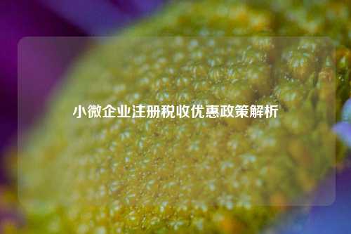 小微企业注册税收优惠政策解析