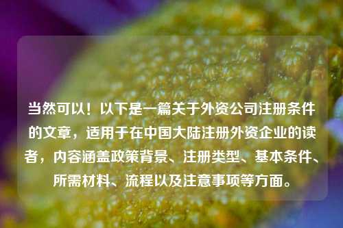 当然可以！以下是一篇关于外资公司注册条件的文章，适用于在中国大陆注册外资企业的读者，内容涵盖政策背景、注册类型、基本条件、所需材料、流程以及注意事项等方面。