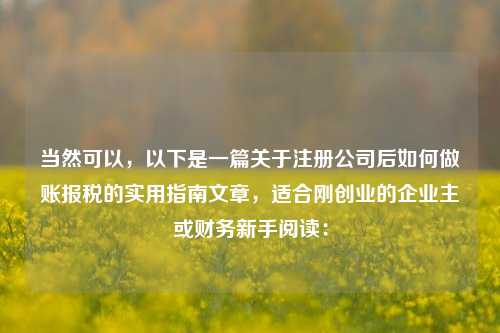 当然可以，以下是一篇关于注册公司后如何做账报税的实用指南文章，适合刚创业的企业主或财务新手阅读：