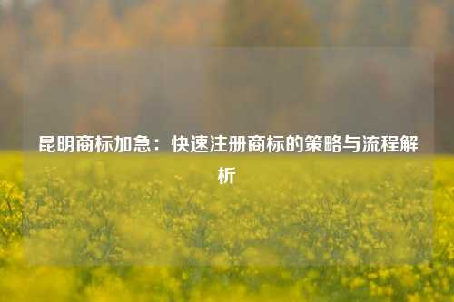 昆明商标加急：快速注册商标的策略与流程解析