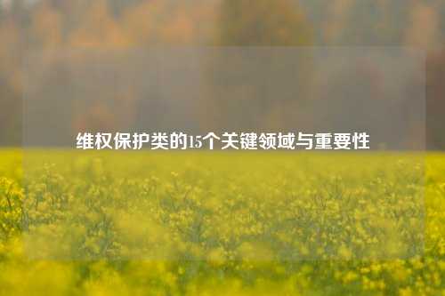 维权保护类的15个关键领域与重要性