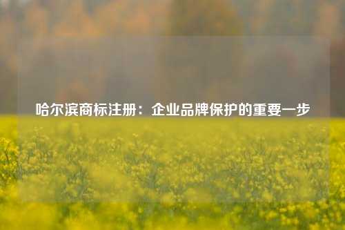 哈尔滨商标注册：企业品牌保护的重要一步