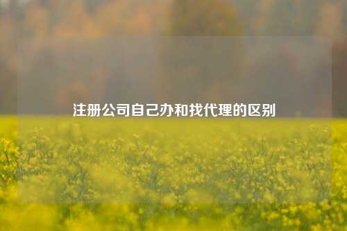 注册公司自己办和找代理的区别
