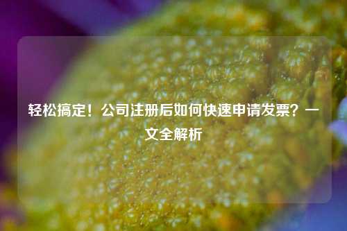 轻松搞定！公司注册后如何快速申请发票？一文全解析