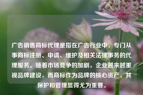 广告销售商标代理是指在广告行业中，专门从事商标注册、申请、维护及相关法律事务的代理服务。随着市场竞争的加剧，企业越来越重视品牌建设，而商标作为品牌的核心资产，其保护和管理显得尤为重要。