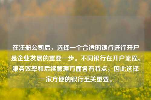 在注册公司后，选择一个合适的银行进行开户是企业发展的重要一步。不同银行在开户流程、服务效率和后续管理方面各有特点，因此选择一家方便的银行至关重要。