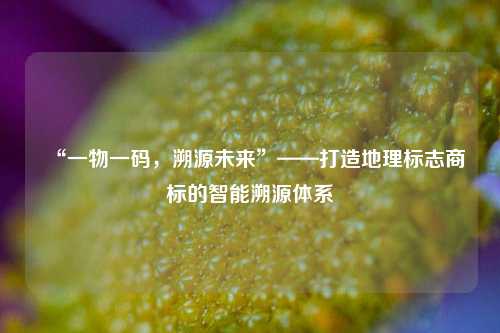 “一物一码,溯源未来”——打造地理标志商标的智能溯源体系