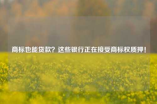 商标也能贷款?这些银行正在接受商标权质押!