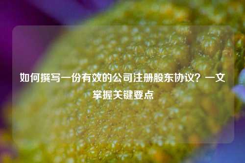 如何撰写一份有效的公司注册股东协议？一文掌握关键要点