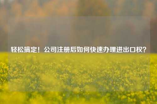 轻松搞定！公司注册后如何快速办理进出口权？