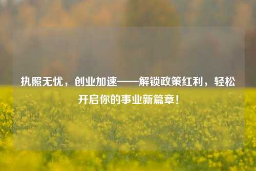 执照无忧,创业加速——解锁政策红利,轻松开启你的事业新篇章!