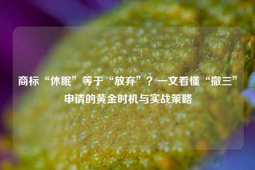 商标“休眠”等于“放弃”?一文看懂“撤三”申请的黄金时机与实战策略