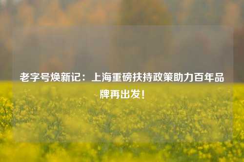 老字号焕新记:上海重磅扶持政策助力百年品牌再出发!