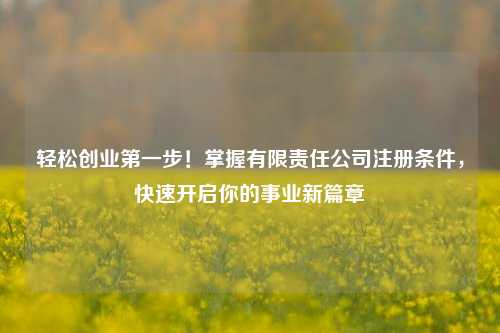 轻松创业第一步！掌握有限责任公司注册条件，快速开启你的事业新篇章