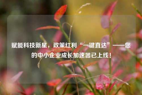 赋能科技新星,政策红利“一键直达”——您的中小企业成长加速器已上线!