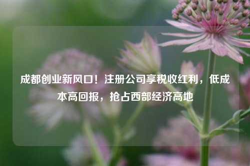 成都创业新风口！注册公司享税收红利，低成本高回报，抢占西部经济高地