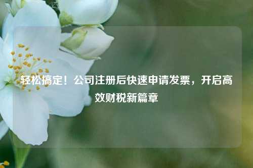 轻松搞定！公司注册后快速申请发票，开启高效财税新篇章