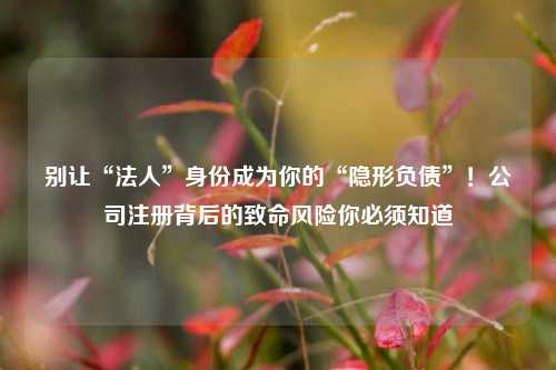 别让“法人”身份成为你的“隐形负债”！公司注册背后的致命风险你必须知道