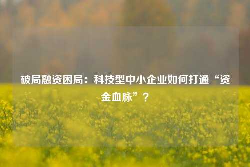 破局融资困局:科技型中小企业如何打通“资金血脉”?