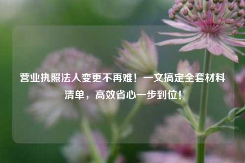 营业执照法人变更不再难!一文搞定全套材料清单,高效省心一步到位!