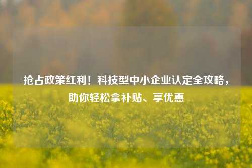 抢占政策红利!科技型中小企业认定全攻略,助你轻松拿补贴、享优惠