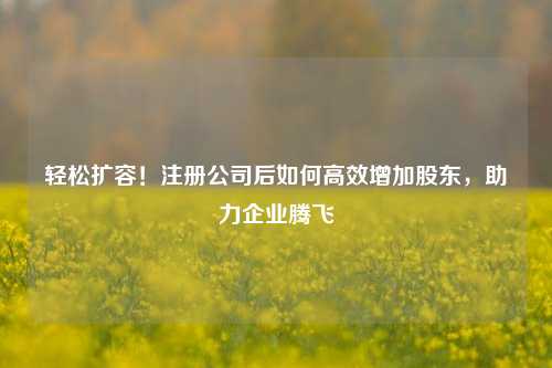 轻松扩容！注册公司后如何高效增加股东，助力企业腾飞