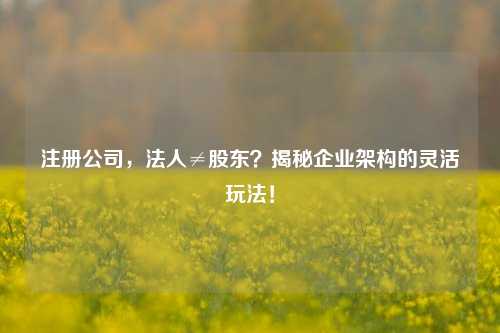 注册公司，法人≠股东？揭秘企业架构的灵活玩法！