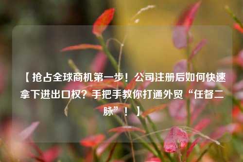 【抢占全球商机第一步！公司注册后如何快速拿下进出口权？手把手教你打通外贸“任督二脉”！】