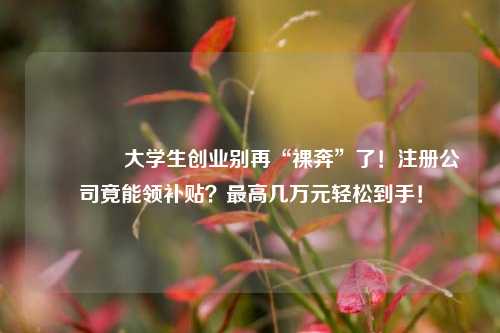 🔥大学生创业别再“裸奔”了！注册公司竟能领补贴？最高几万元轻松到手！