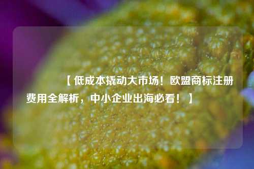 🔥【低成本撬动大市场！欧盟商标注册费用全解析，中小企业出海必看！】🔥
